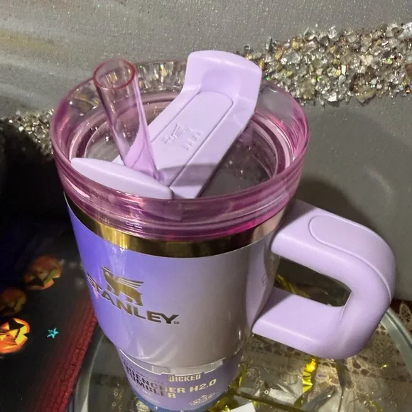 Wicked Stanley 20 oz Glinda For Good Flowstate Quencher New with tags